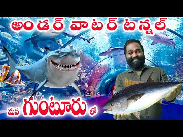 underwater tunnel/GUNTUR'S FIRST UNDER WATER TUNNEL FOR FISH AQUARIUM/mana rk channel/#guntur #fish