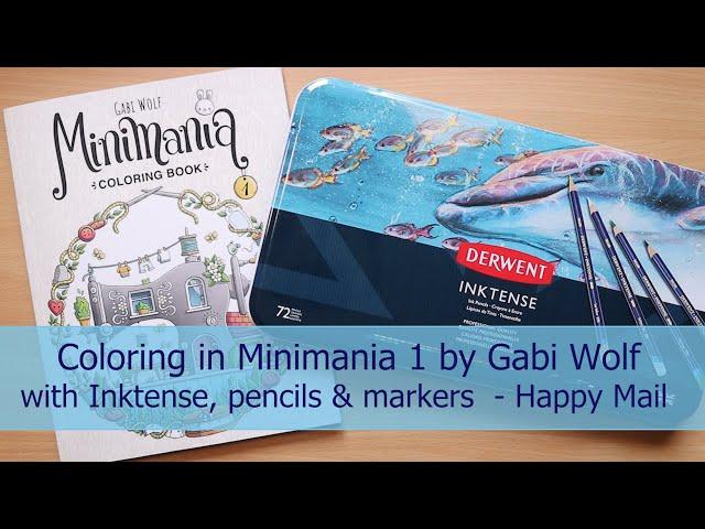 Coloring with inktense pencils | Minimania 1 | Gabi Wolf | Prismas, Polys, markers | Happy mail