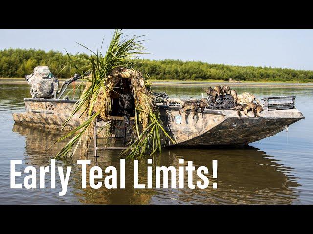 Early Teal Season Limits! || Iowa Waterfowl Hunting 2023