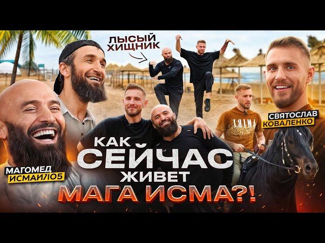 Как живет Мага Исма? / После боя с Минеевым / «Лысый Хищник» и его миллиарды