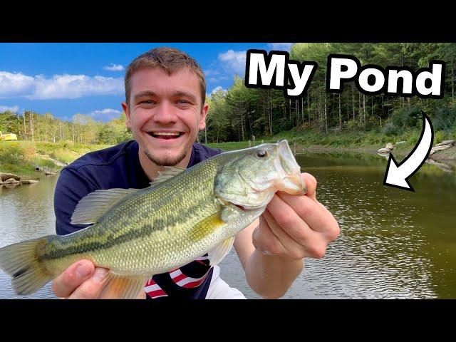 Catching Largemouth Bass to Stock My Pond!