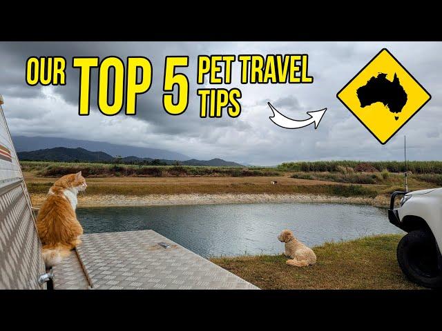 5 Tips for Caravanning with your Dog & Cat | Pet-Friendly Lap of Australia Travels