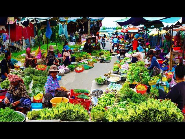 Fresh from Farm to Market! A Day at Prek Anchanh’s Rural Food Haven​, Kandal province