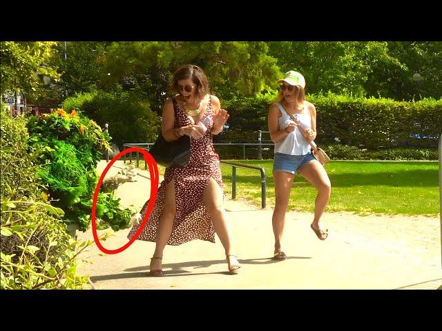 BUSHMAN PRANK; THESE REACTIONS ARE HILARIOUS