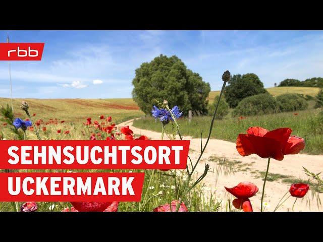 30 Dinge warum die Uckermark ein Sehnsuchtsort ist | Brandenburg erleben | Doku