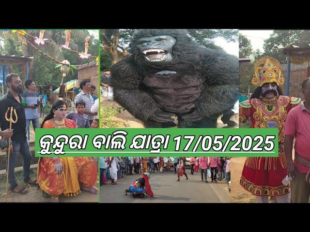 Koraputia bali jatra kundra 17/05/2025