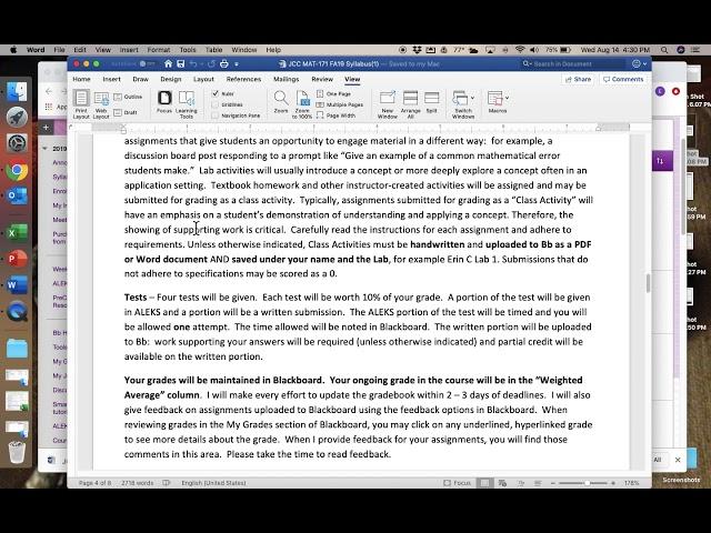 171 Syllabus Video