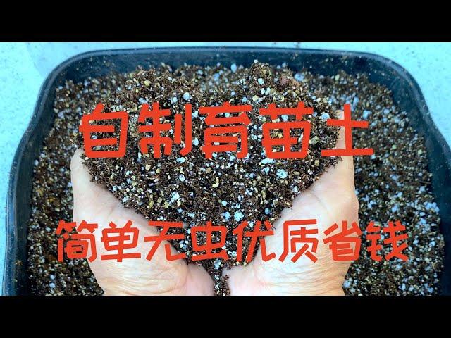 【自制育苗土】无虫省钱高质量育苗土和花盆土简单DIY ｜How To Make Your Own Seed Starting Mix