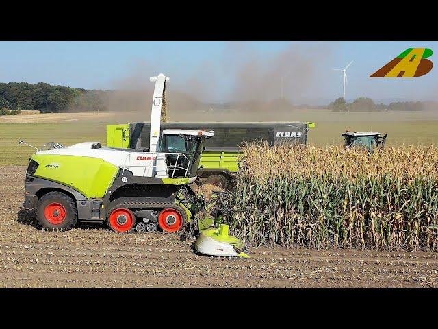 Mais häckseln 2020 - Neuvorstellung Claas Jaguar 990 Terra Trac & Orbis 900 - Axion 960 TT Maisernte