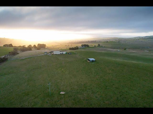 Elders Cooma | ‘That A Way’ Delegate, NSW