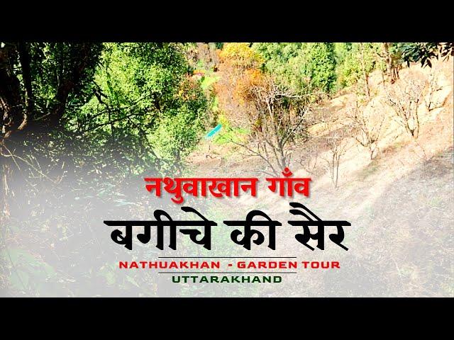 Nathuakhan Garden Tour   |  नथुवाखान गाँव में बगीचे की सैर  | Ramgarh,Nainital | CheckInNews