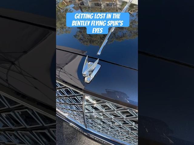 The Bentley Flying Spur’s headlights are a work of art! ️#carsales #Bentley #LuxuryCar