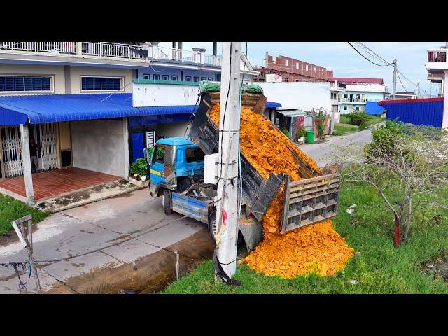 New Project Nice Incredible landfill flooded soil ! Bulldozer D20p Push Stone , truck 5Ton Cooperate