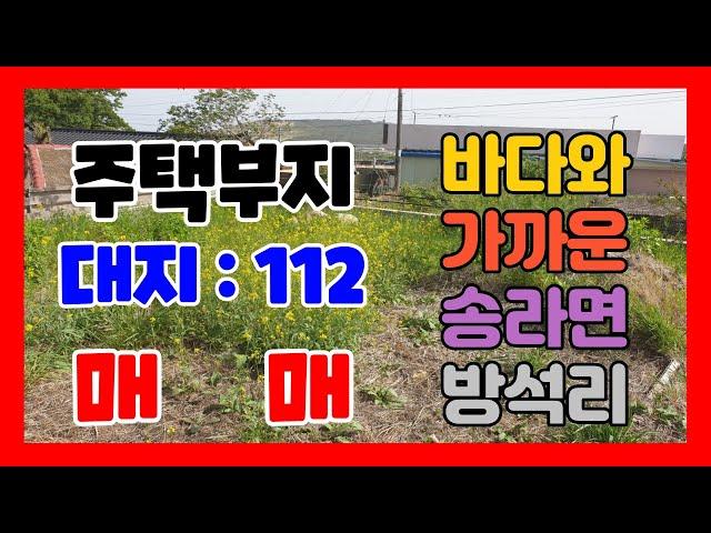 335. 방석리 주택부지매매 바다와 가까운 거리의 포항주택부지매매 청정지역 대지 매매  촌집매매 송라면