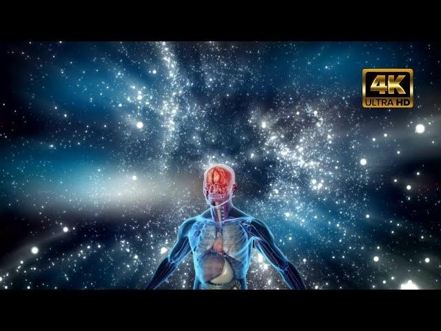 Healing Frequency Music - Emotional Healing 432Hz Meditation Music #mindfulness