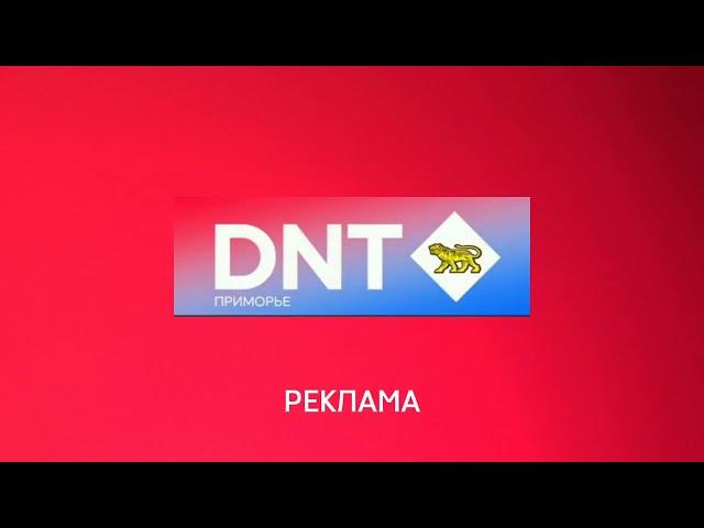 Заставка рекламы DNT Приморье (01.09.2022 н.в)