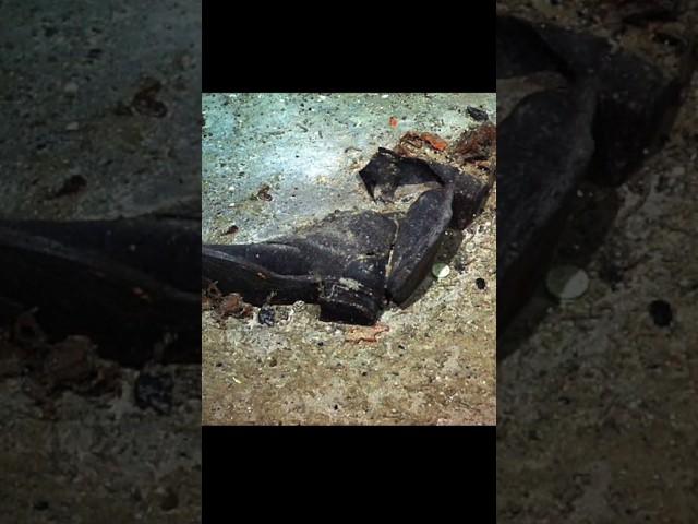 TITANIC's Mystery Shoes