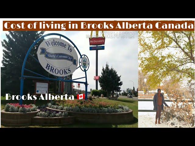 Cost of living in Brooks Alberta Canada - 2023/ living in Brooks Alberta Canada