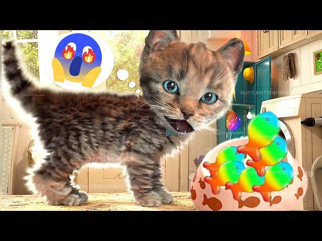 FUNNY CATS CUTE LITTLE KITTEN ADVENTURE -  CUTE ANIMATED KITTY FRIENDS #997