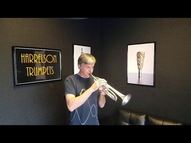 Harrelson VPS Summit One Silver Bb Trumpet