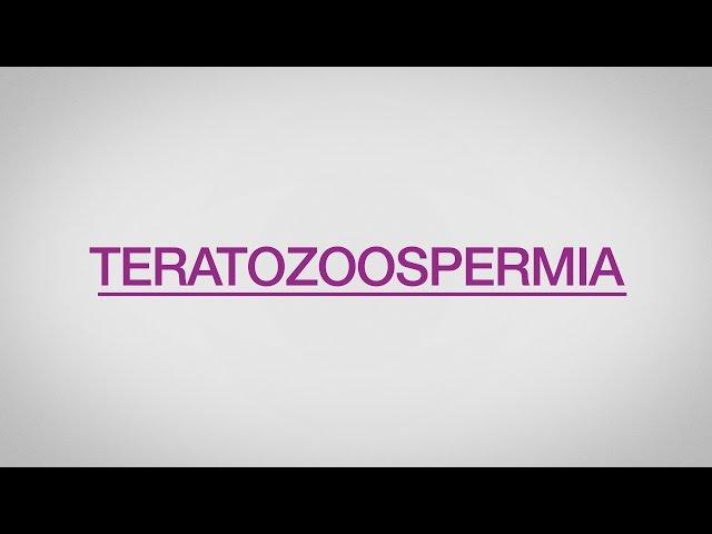 ¿Qué es la teratozoospermia?