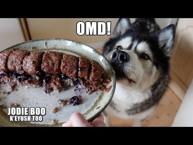 Cooking My Husky A Meat Swiss Roll! He Goes CRAZY!