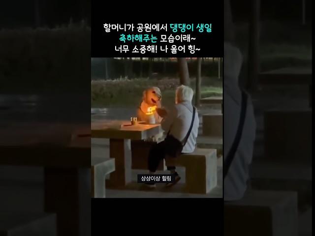 공원에서 강아지 생일 챙겨준 할머니… 감동 및 오열주의