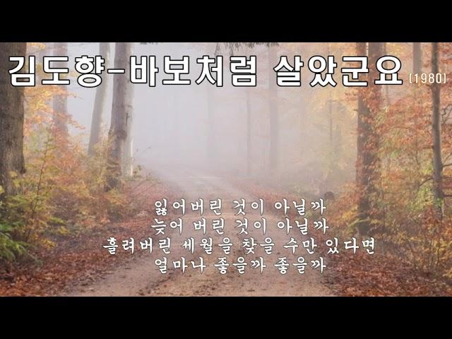 김도향  -  바보처럼 살았군요 (1980) 가사.