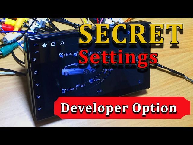 How to enable Car stereo Developer option
