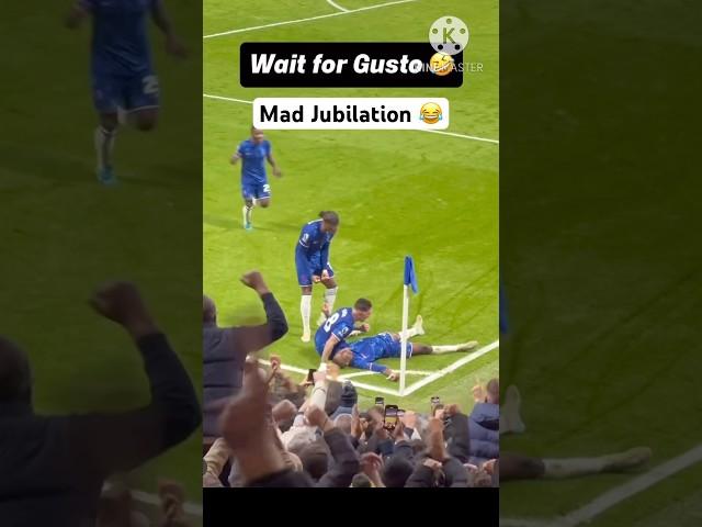 Jackson,Enzo Fernandez,Madueke & Gusto INSANE CELEBRATION Fans Reaction To Jackson Goal,Fans Chant