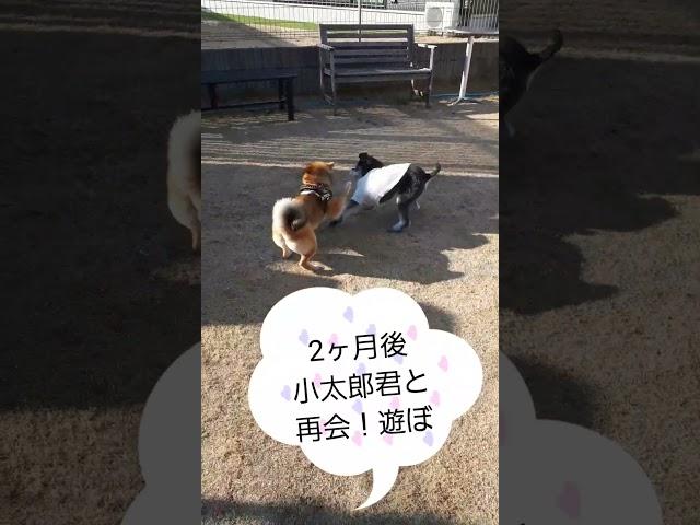 小太郎くんと再会！