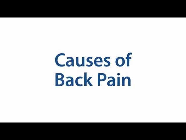 What causes back pain?