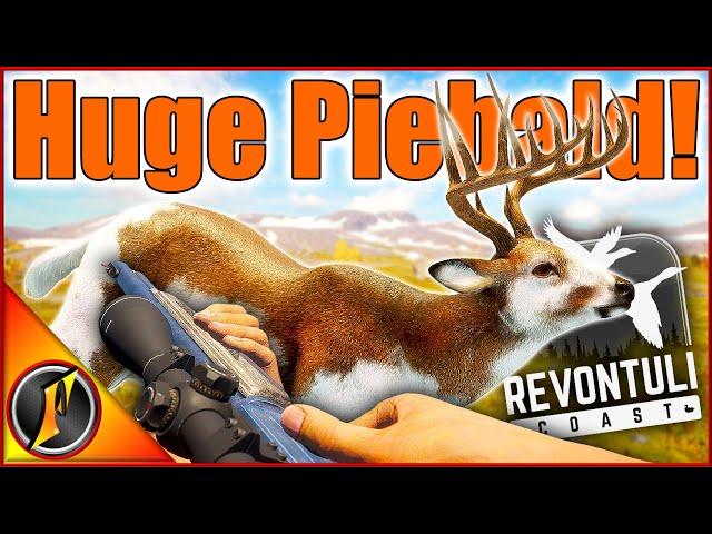 HUGE Piebald Whitetail on Revontuli Coast! | theHunter Call of the Wild