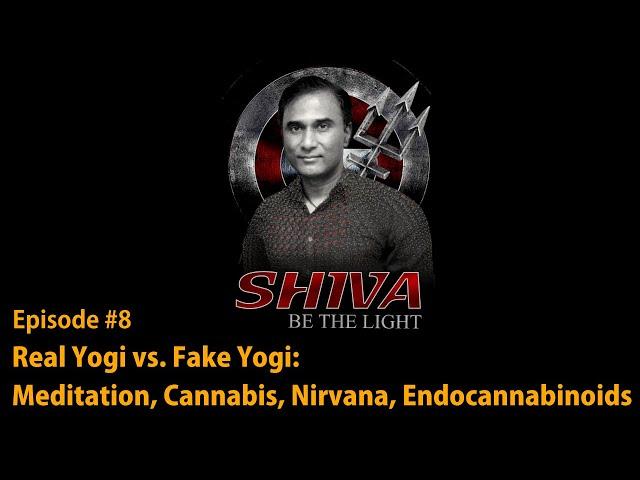 Real Yogi vs. Fake Yogi: Meditation, Cannabis, Nirvana, Endocannabinoids