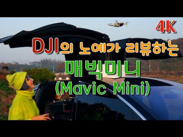 DJI 매빅미니 (Mavic Mini) vs 매빅2 프로(Mavic2 Pro) 상세한 비교리뷰 (항공사진가 손지현)