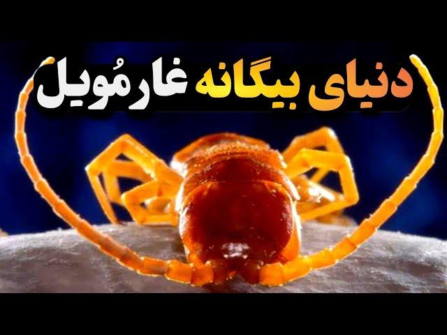 دنیای بیگانه مخفی روی کره زمین: 5 مکان و پدیده اسرارآمیز کره زمین