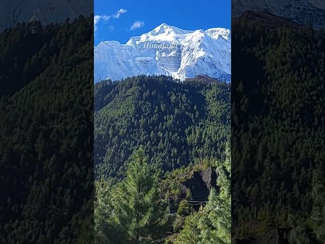 Explore Himalaya Nepal #shorts #travel #Himalaya #Nepal