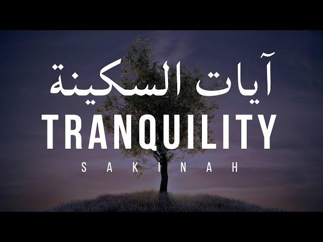 AYAT OF TRANQUILITY - SAKINAH  أيات السكينة لدفع الهموم