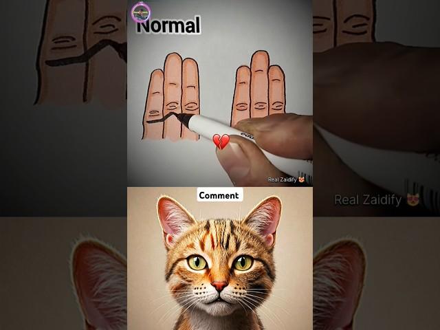 give this video title (warning answer) #cat #meme #funny