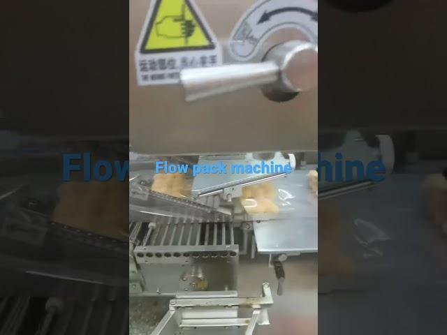 Automatic packaging machine