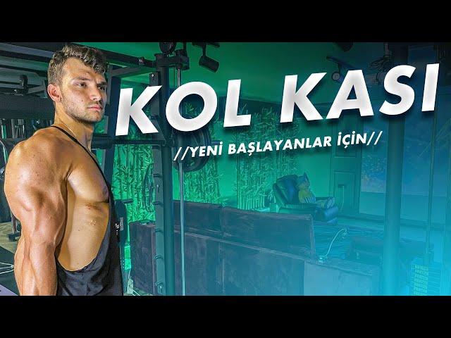 Yeni Başlayanlar İçin Dambıl ile Evde Kol Antrenmanı! | Biceps & Triceps