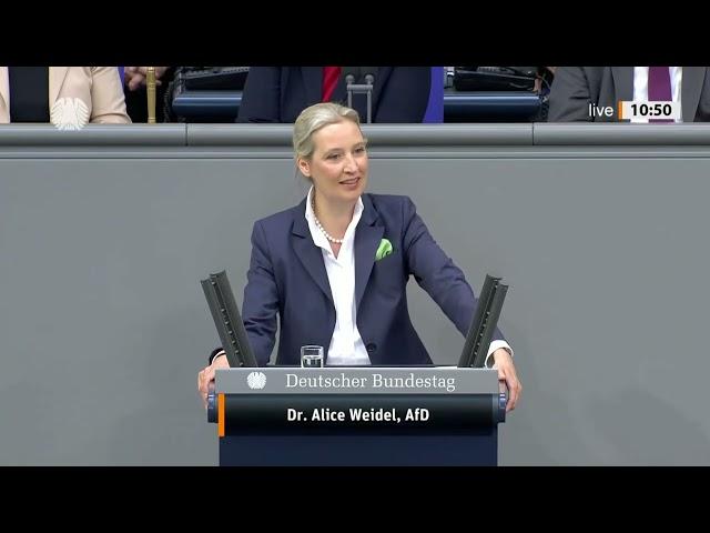 "WIR BRAUCHEN EINE STARKE WIRTSCHAFT!"  Alice Weidel mit Klartext im Bundestag