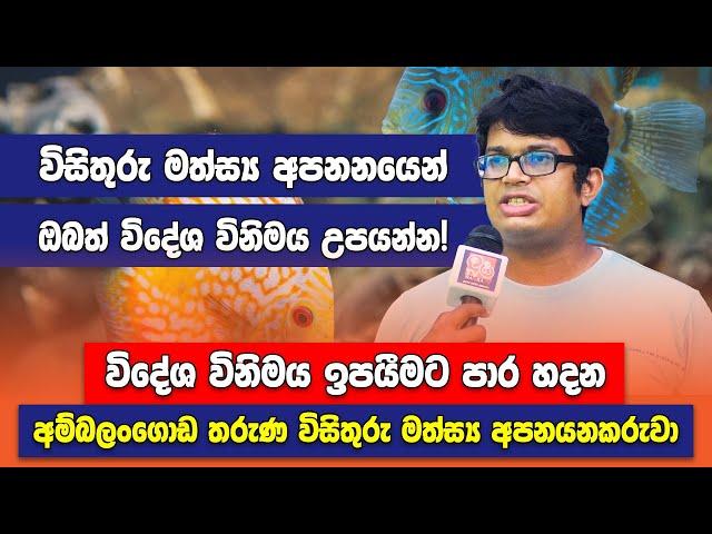 The Young Fish Exporter Who Helps Ornamental Fish farmers - තරුණ විසිතුරු මත්ස්‍ය අපනයනකරු