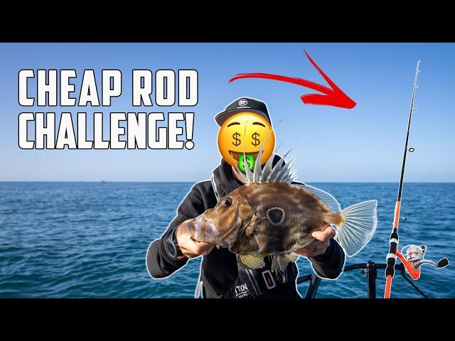 CHEAP FISHING ROD CHALLENGE (Putting a $50 Kids Combo to the test) - S8 EP8 Coromandel