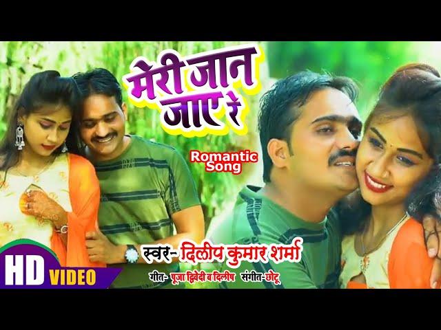 #Romantic#DilipKumarSharma//Meri Jaan Jaye Re // मेरी जान जाए रे // #VirulSong // Dilip Kumar Sharma