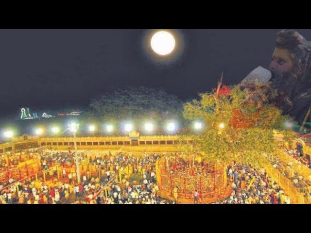 World’s largest Tribal Festival (sammakka Saralamma Jatara )