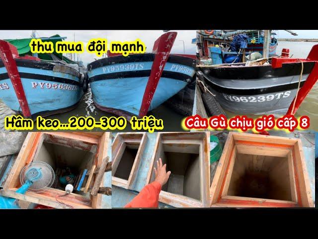 Lưới Chuồn Vùng Biên Gió Cấp 8 Chạy Vô Gần Hết Dầu | Ngư Dân Tu Bổ 200-300 triệu than vãn