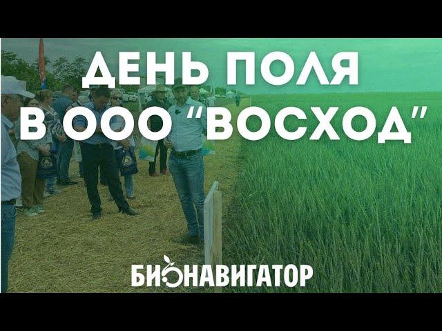 День поля в ООО “Восход” Прохладненского района КБР