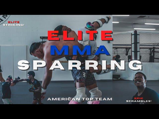 CRAZY SKILL! ELITE TECHNICAL MMA SPARRING #boxing #muaythai #mma #sparring #kickboxing