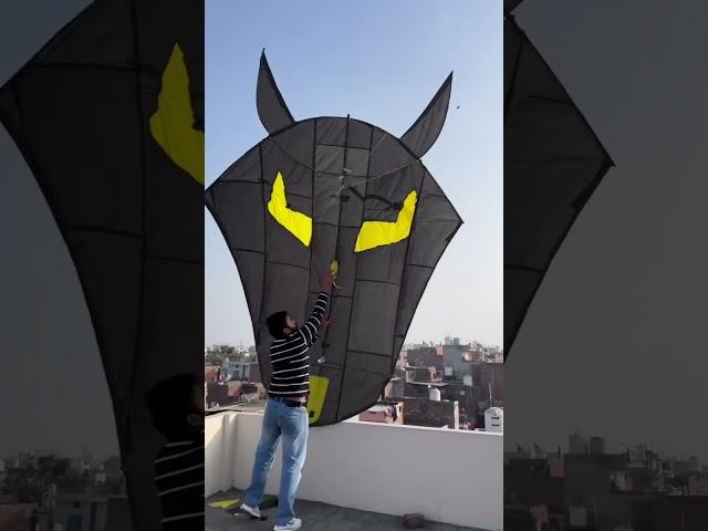 Biggest bat kite #kiteflying #kitelover #patang #kitefighting